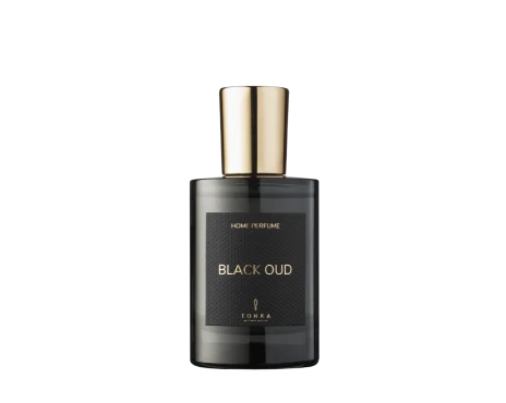 Интерьерный спрей BLACK OUD 50 мл